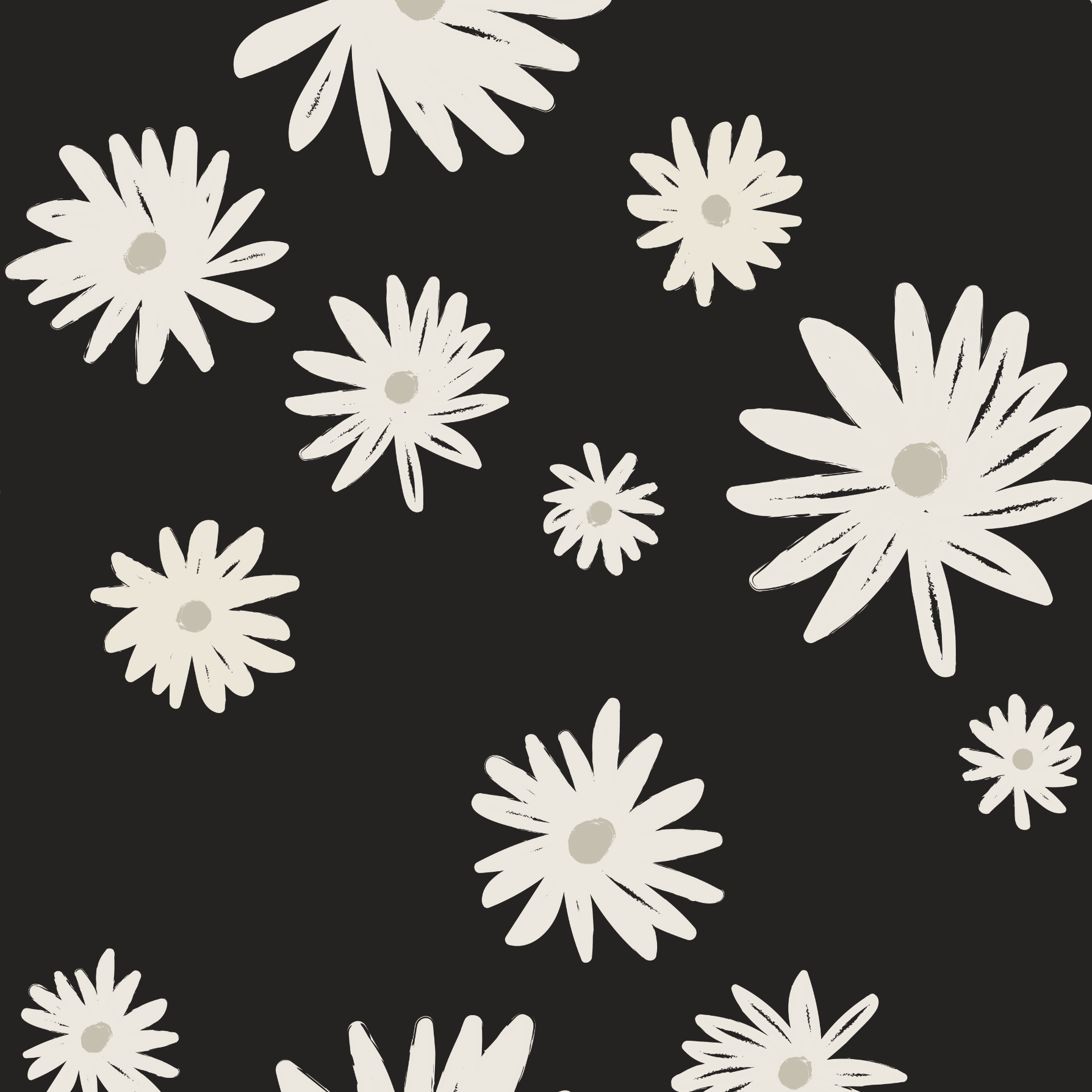 Night and Daisy - LEFTOVERS FINAL SALE