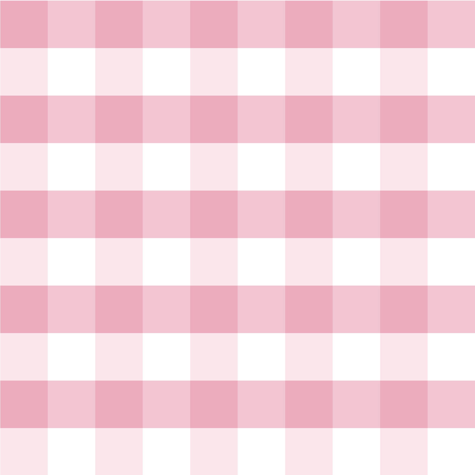 Summer Dress Pinknic - LEFTOVERS FINAL SALE