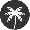 Honeysuckle Swim Company logo